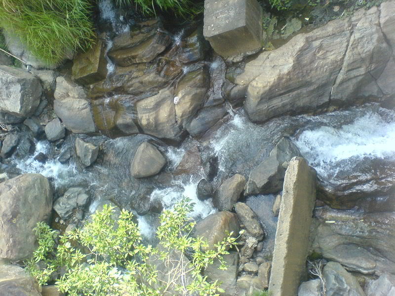 DSC00601-1.jpg