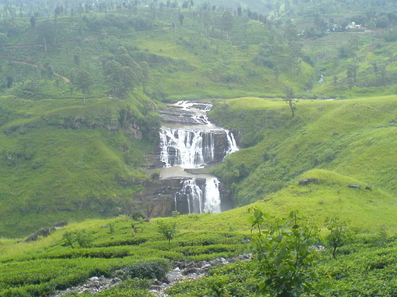 DSC00799-1.jpg
