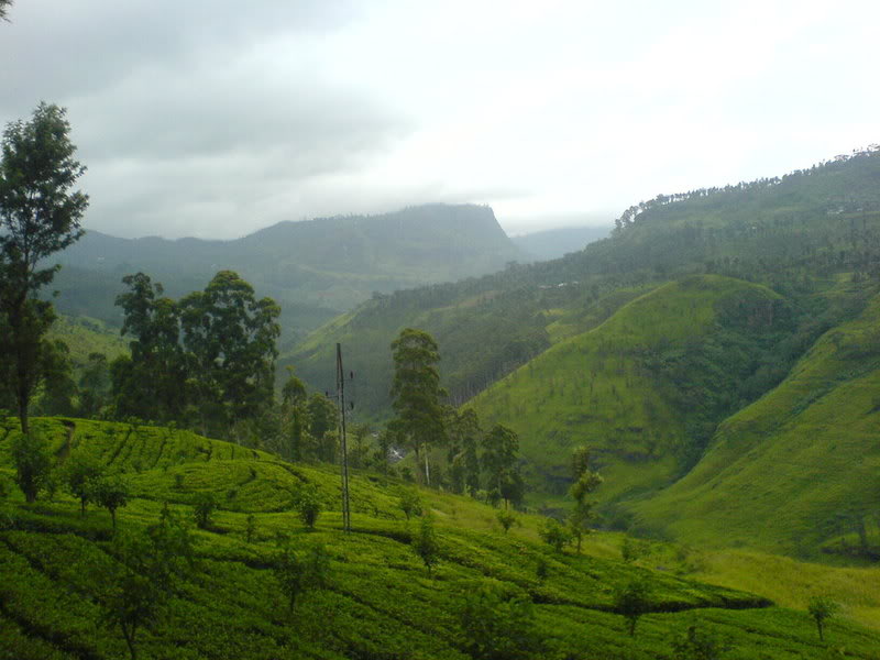 DSC00801-1.jpg