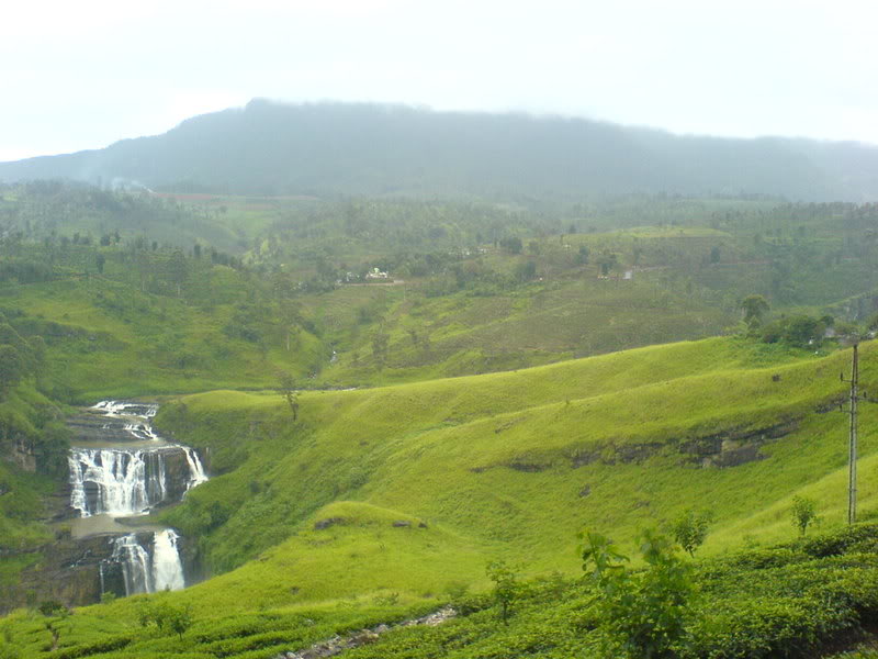 DSC00802-1.jpg