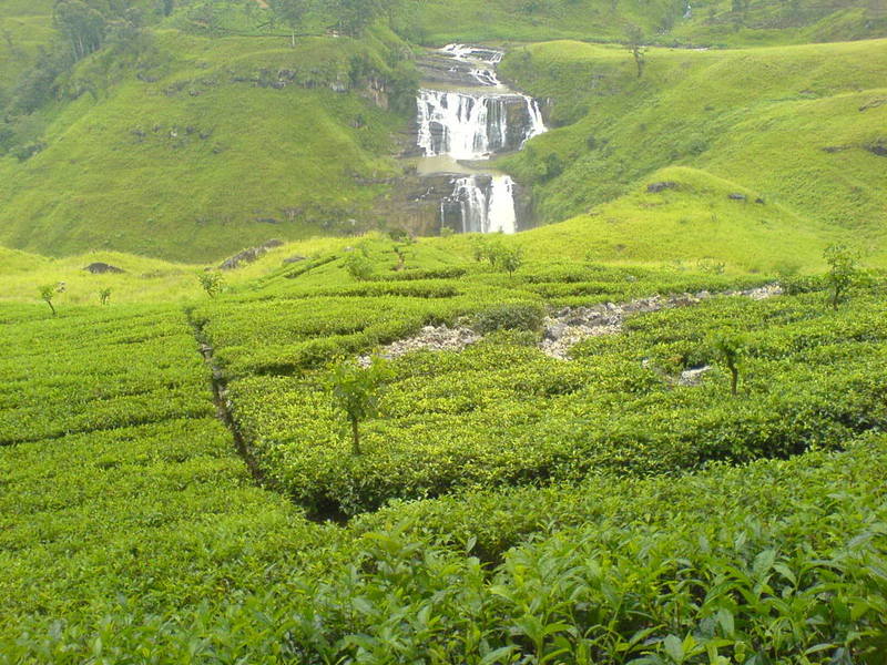 DSC00804 1 - Sri lanka Falls