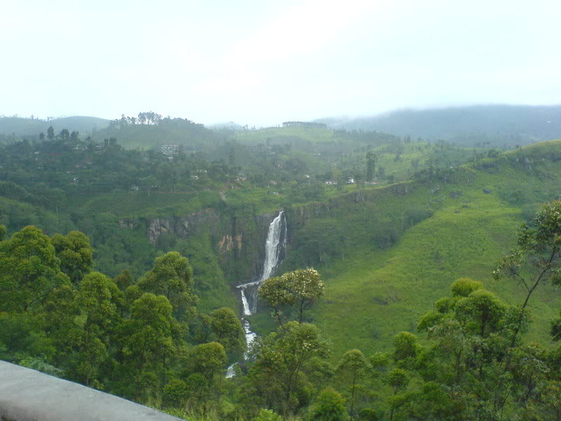 DSC00811-1.jpg