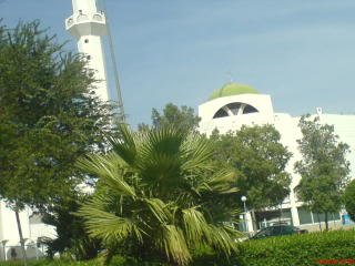 DSC00840-1.jpg