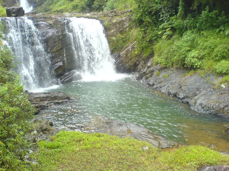 DSC00903-1.jpg