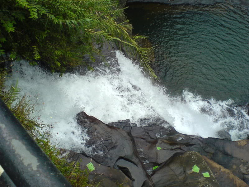 DSC00907-1.jpg