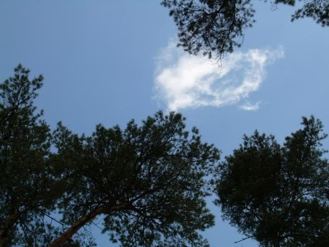 DSCN6213-1.jpg