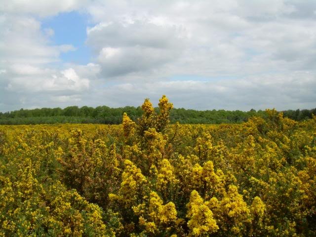 DSCN6226-1.jpg