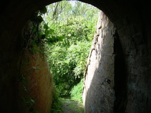 DSCN6263-1.jpg