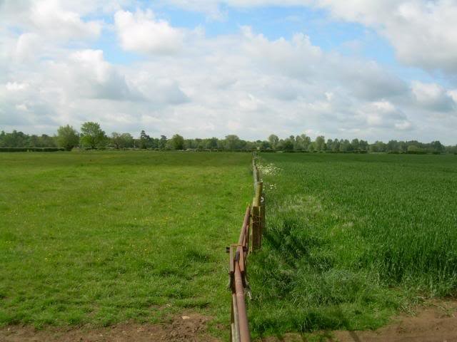 DSCN6267-1.jpg