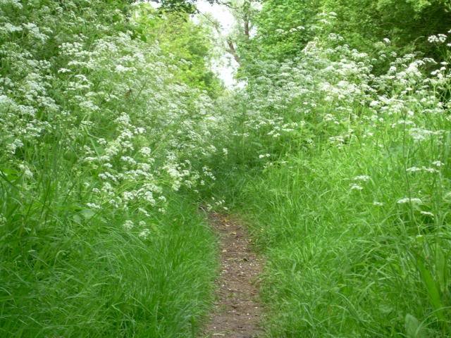 DSCN6271-1.jpg
