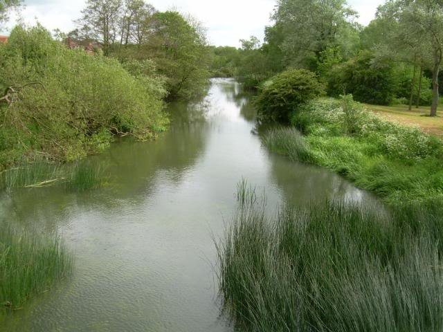 DSCN6273-1.jpg