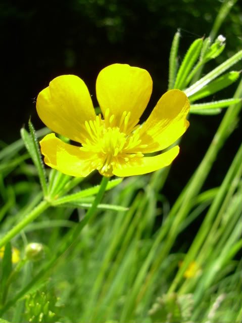 DSCN6337-1.jpg