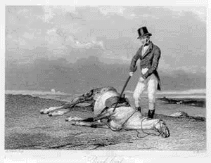 deadhorse-1.gif