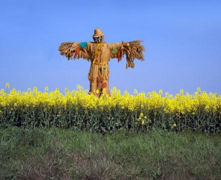 scarecrow2usermyth-1.jpg
