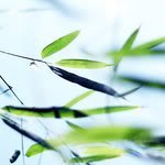 th_03c6e67280b6a3c722b282b91c08acfc-1.jpg