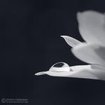 th_3b0d0bc1344b8e16d4a4063694b5ab6c-1.jpg