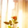 th_9umc6g-1.png