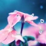 th_Nature_tears________by_light_from_E-1.jpg