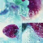 th_Strawberry____by_light_from_Emirate-1.jpg