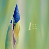 th_f84bcc1c-1.png