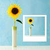 th_flwrcopy-1.png