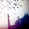 th_travel12_by_fading_polaroid-1.png