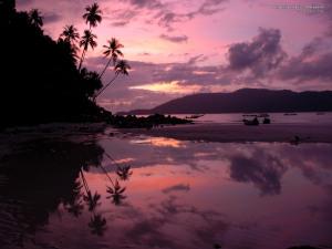sunrise_wallpaper1152x864jpgw300h225-1.jpg