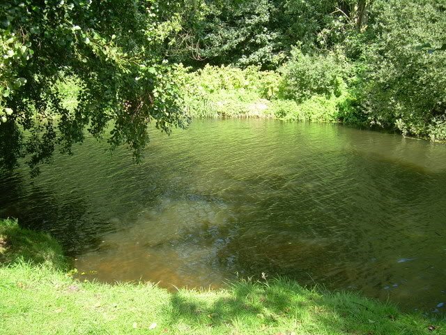 DSCN4814-1.jpg