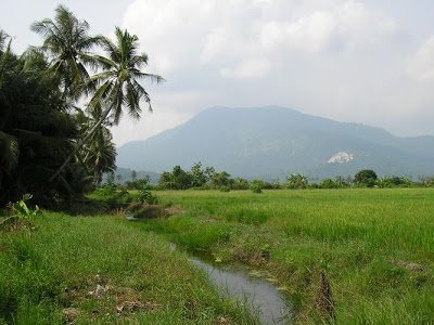 GunungJeraidarisawah-1.jpg