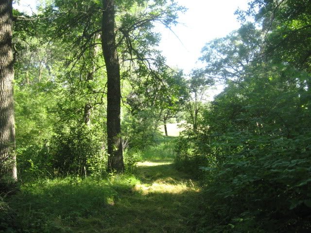 PicturesoflandnearOsakis249-1.jpg