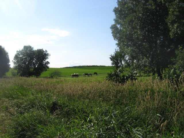 PicturesoflandnearOsakis277-1.jpg