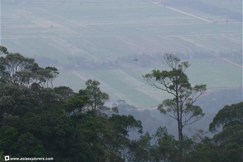 gunungjerai-1.jpg