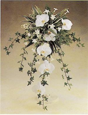 orchid_ivy-1.jpg
