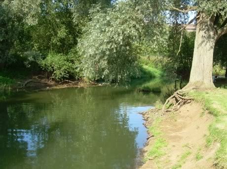 riverGreatOuse-1.jpg