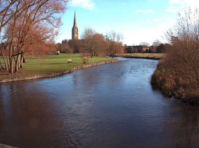 031013_e97c3245-1.jpg