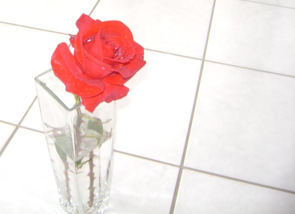 123Copy-1.jpg
