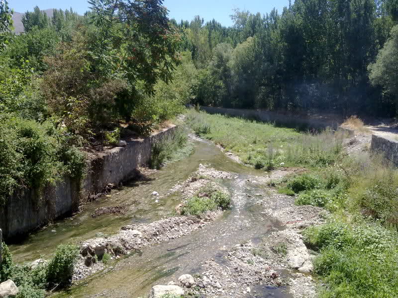 14uvmfq-1.jpg