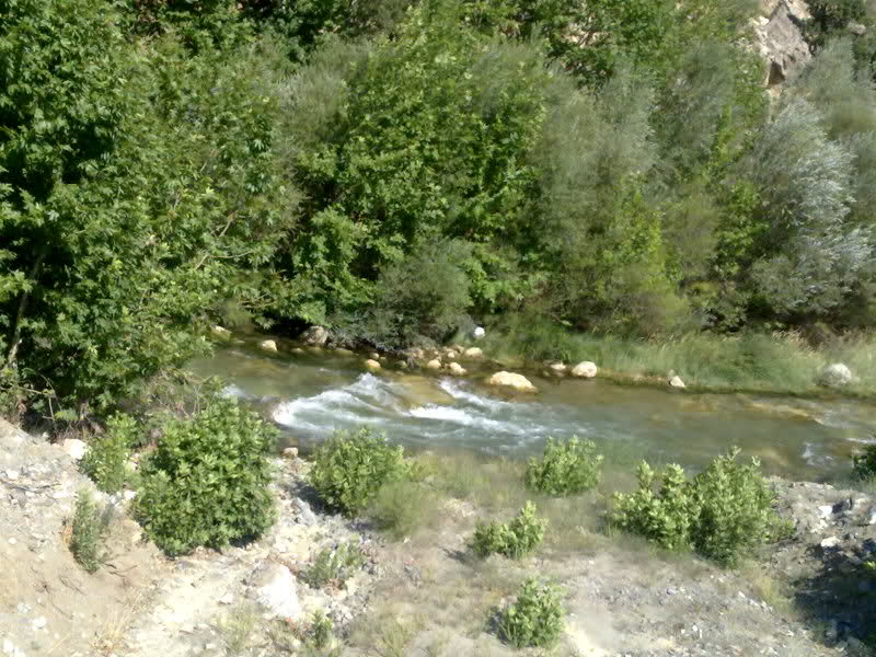5cn7ub-1.jpg