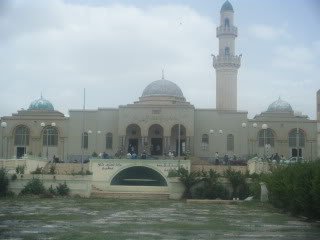 DSCF6164-1.jpg