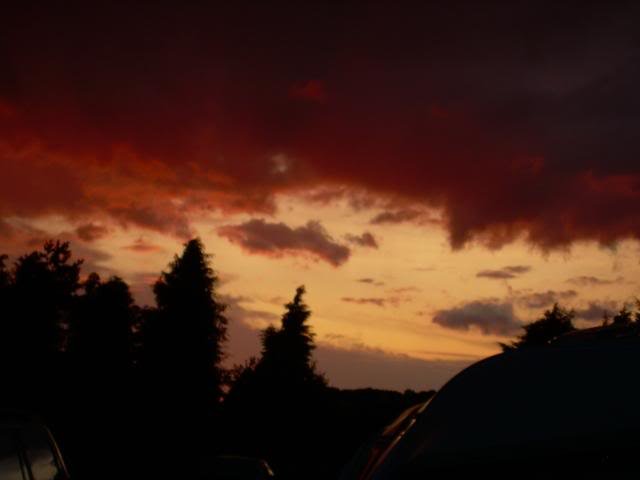 DSCN6454-1.jpg