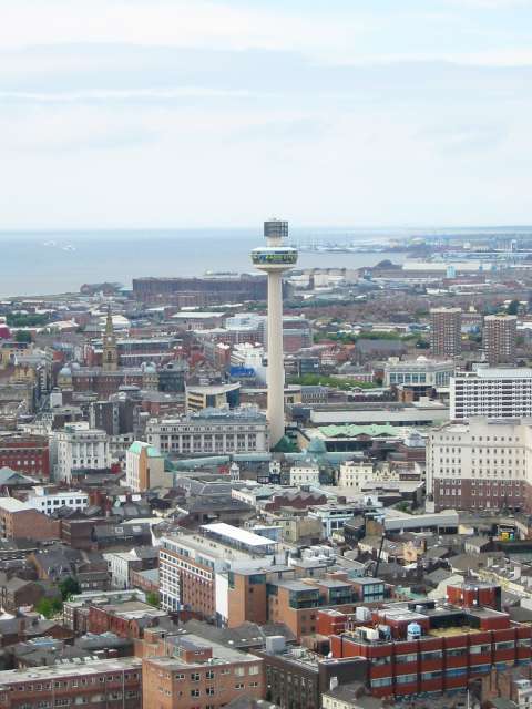view3-1.jpg