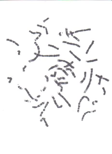 29c9s2d-1.jpg