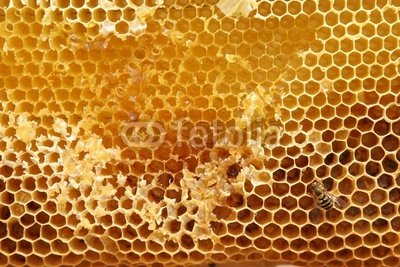 400_F_3645196_LAxRROPmozDkl8QyMIbDBmcZ1E-1.jpg