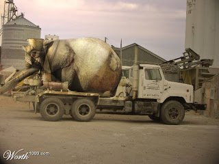 elephant2-1.jpg
