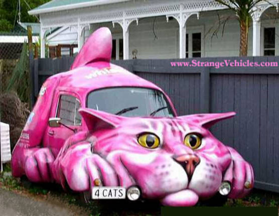 funny20cat20car20strange20vehicles 1 - Ever go to car auctions?