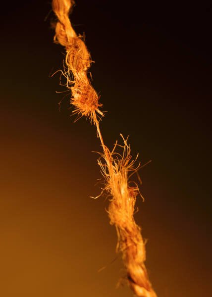snapping_rope-1.jpg