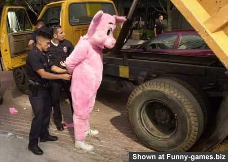 428pinkpigarrested-1.jpg
