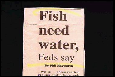 6a00e5504cf4f788330120a657202a970c800wi-1.jpg