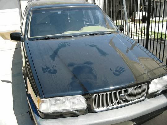 car1-1.jpg