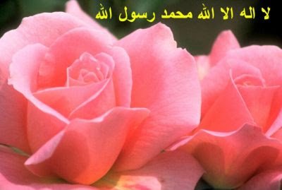 normal_Shahdah_119-1.jpg